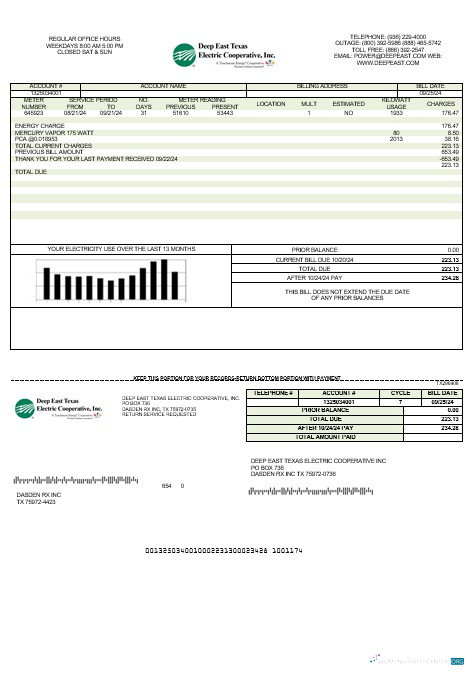 USA Deep East Texas Electric business utility bill template in Word and PDF formats